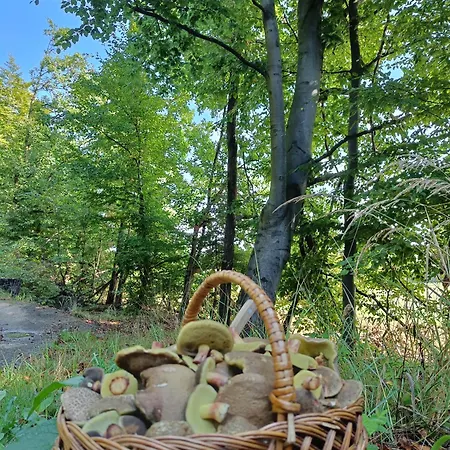 Nyaraló Chata Anna, Jedovnice